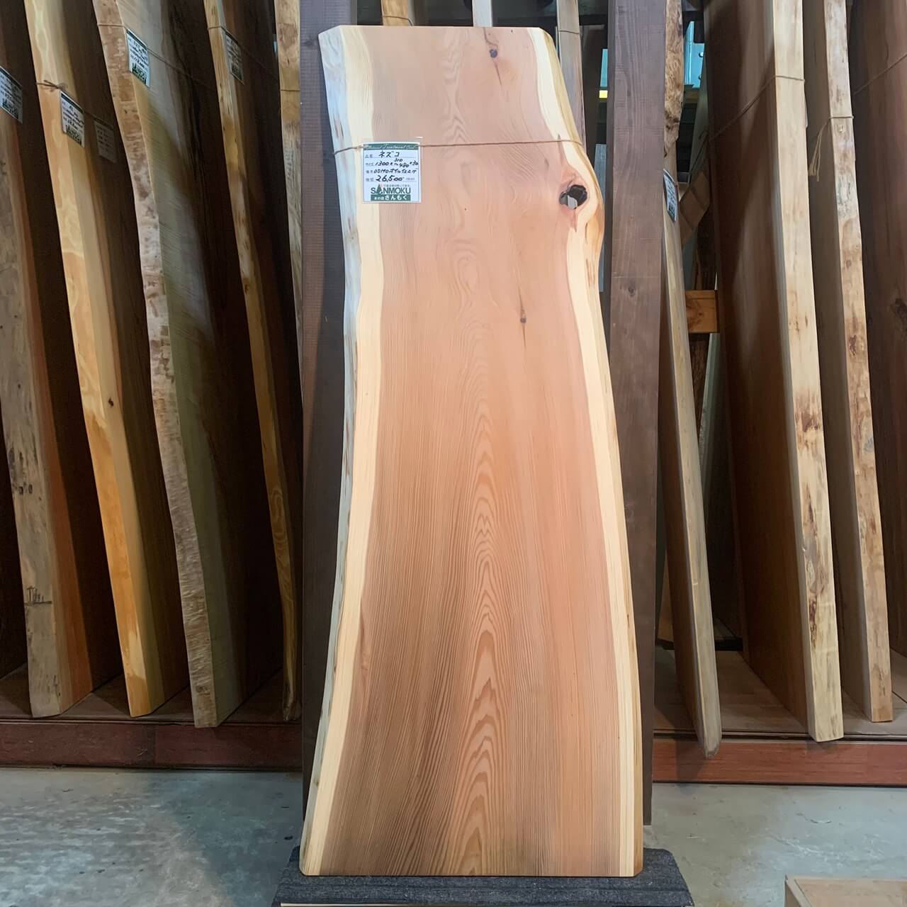 ネズコ一枚板【高樹齢】1300×310~480×30㎜【オイル塗装 仕上げ済み