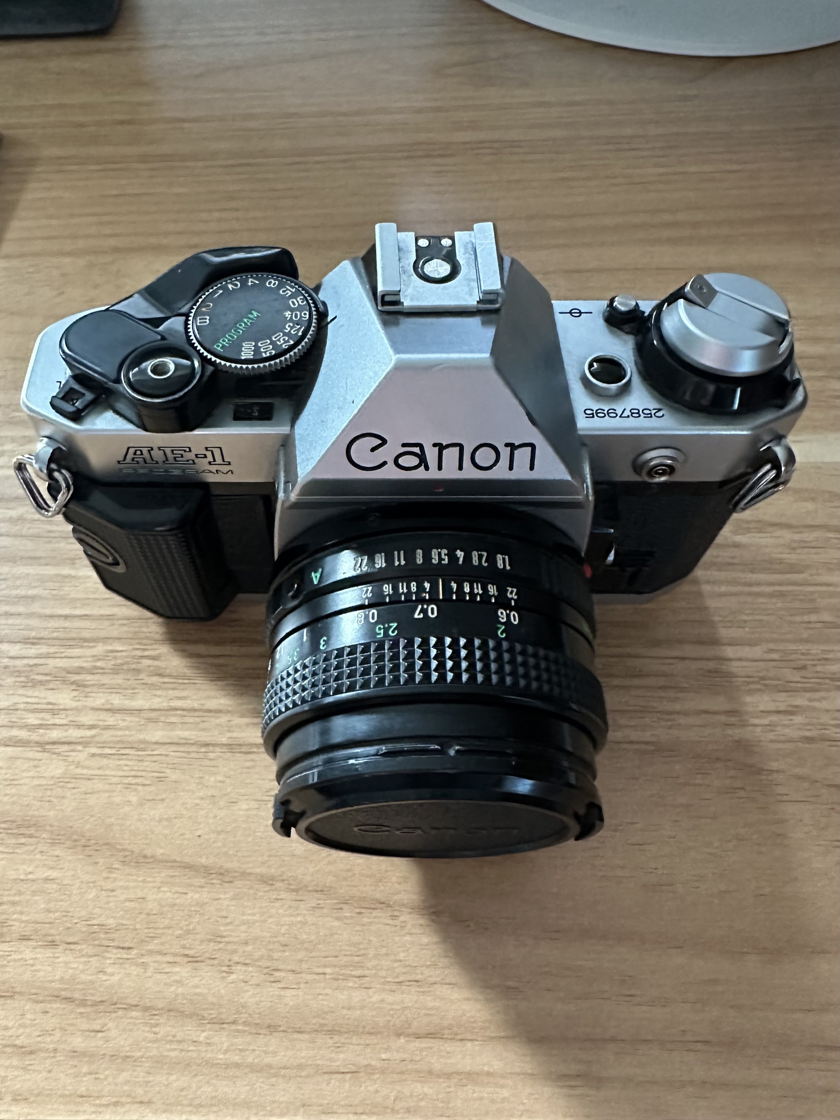 Canon AE1 Program Review: The Best Film Camera for Beginners
