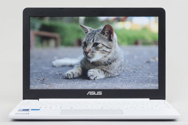 ASUS VivoBook E203MA-4000 レビュー：激安なのにけっこう使える小さな