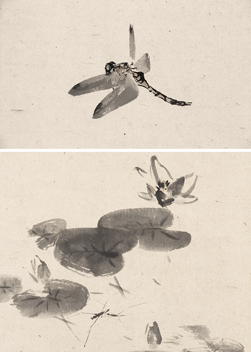 竹内栖鳳 菊池芳文 蜻蛉図 睡蓮水馬之図 | 古美術瀬戸