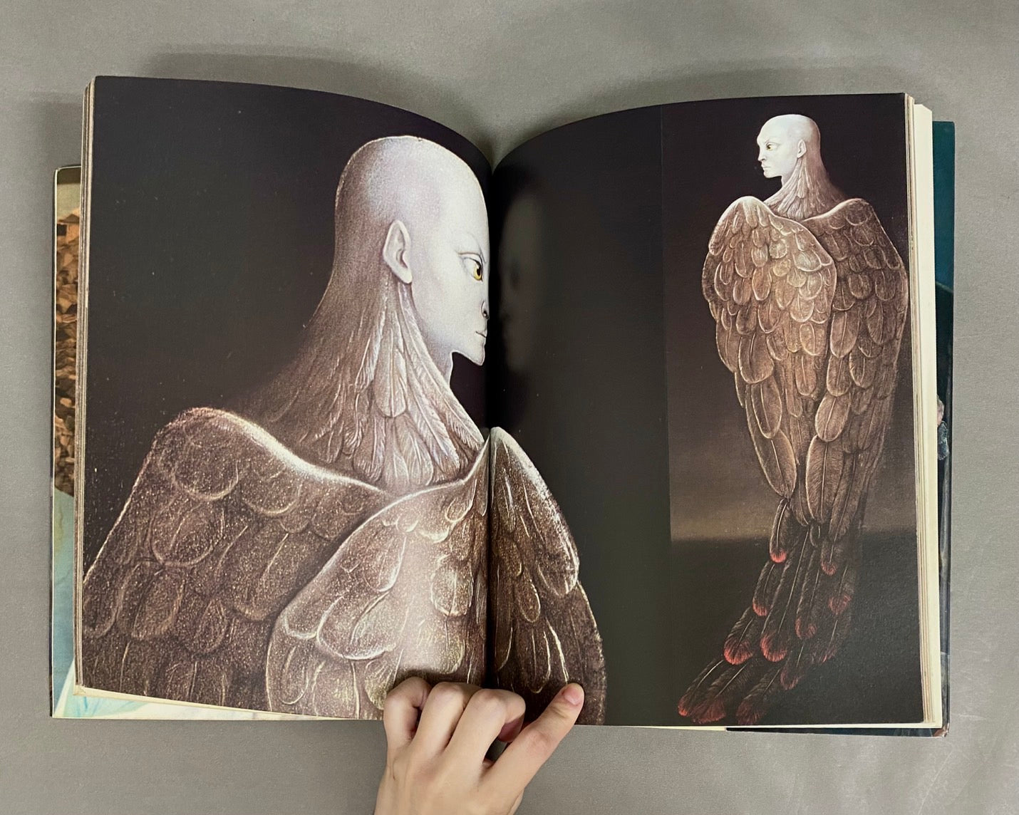 415】LEONOR FINI レオノ－ル.フィニ 美術関係書 Leonor Fini