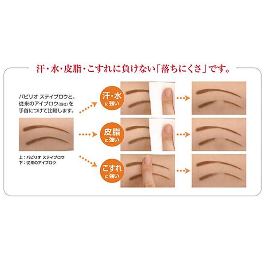 パピリオ ステイブロウ 本体＆リフィル2本セット(本体：チャコール