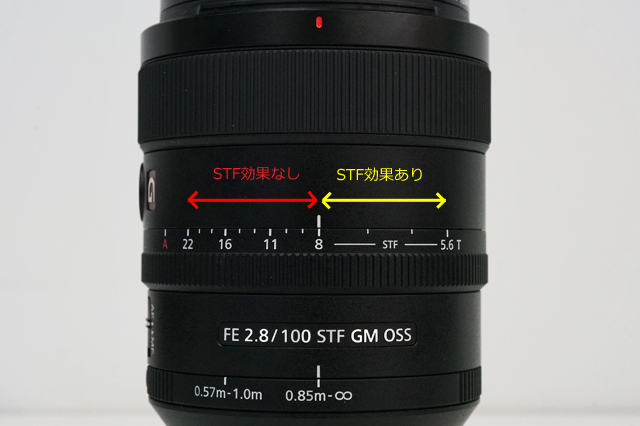 ボケ味が主役になるSTFレンズとG Masterレンズが融合したFE 100mm F2.8