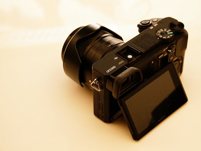 SONY a6300 購入レビュー】a6000より良くてa6400よりも安いから初心者