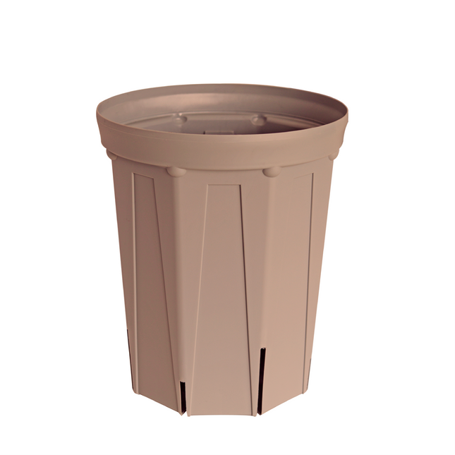 CSM-210L シェルピンク【スリット鉢】【カーメン君カラー】 – KUROKO