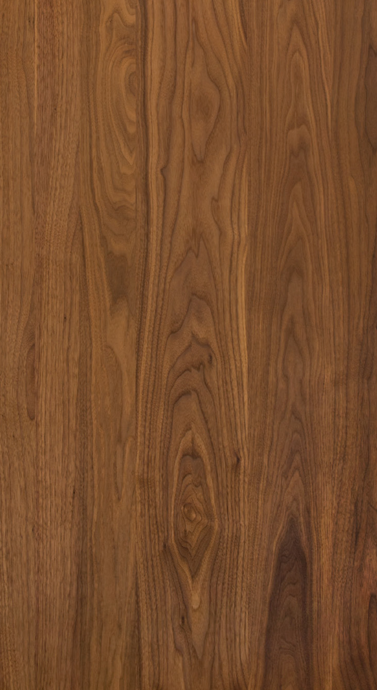 マスターウォールの1stプロダクト “WILD WOOD（ワイルドウッド