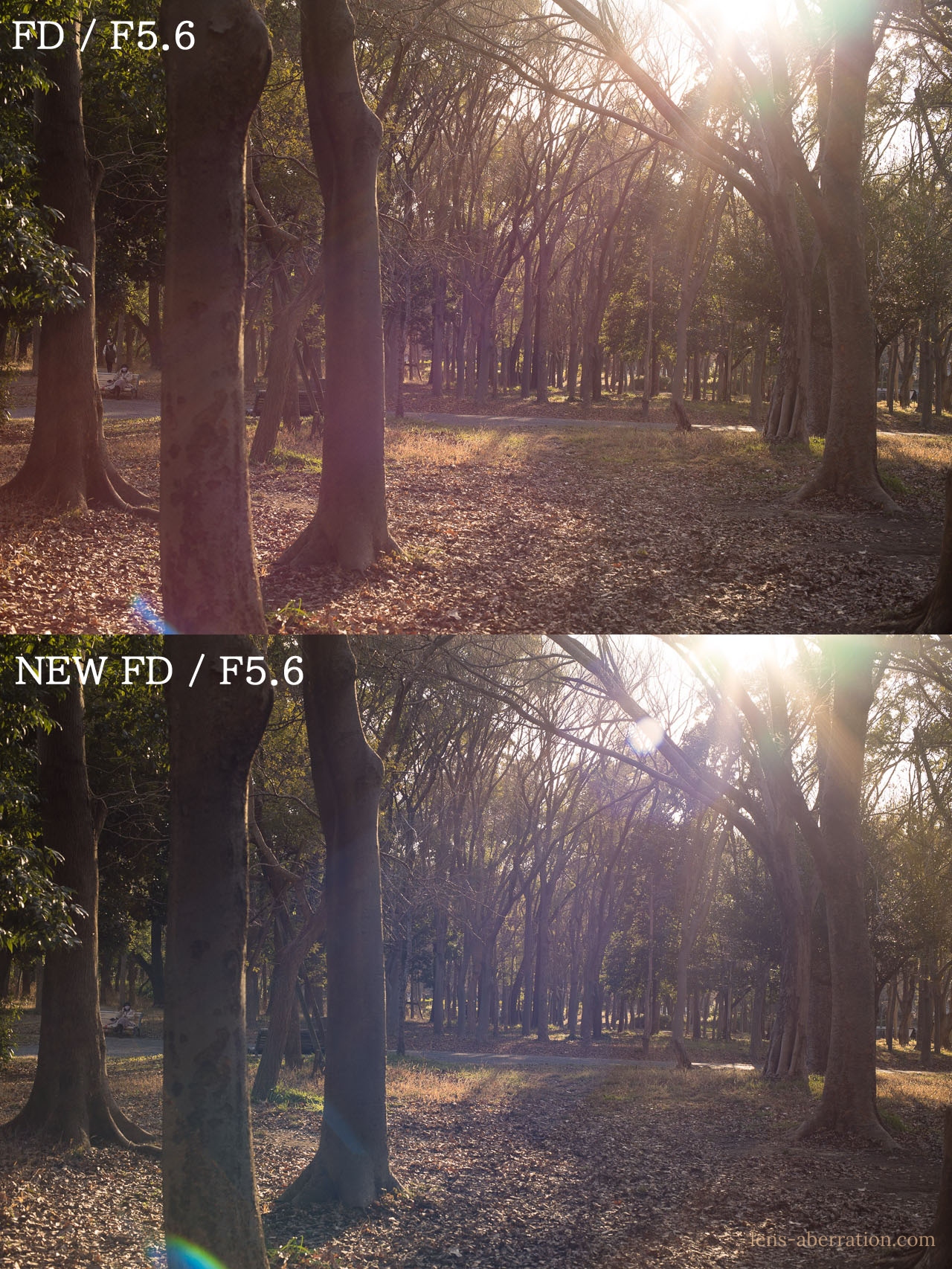 新旧比較】Canon FD50mm F1.4を撮り比べ | 収差Love