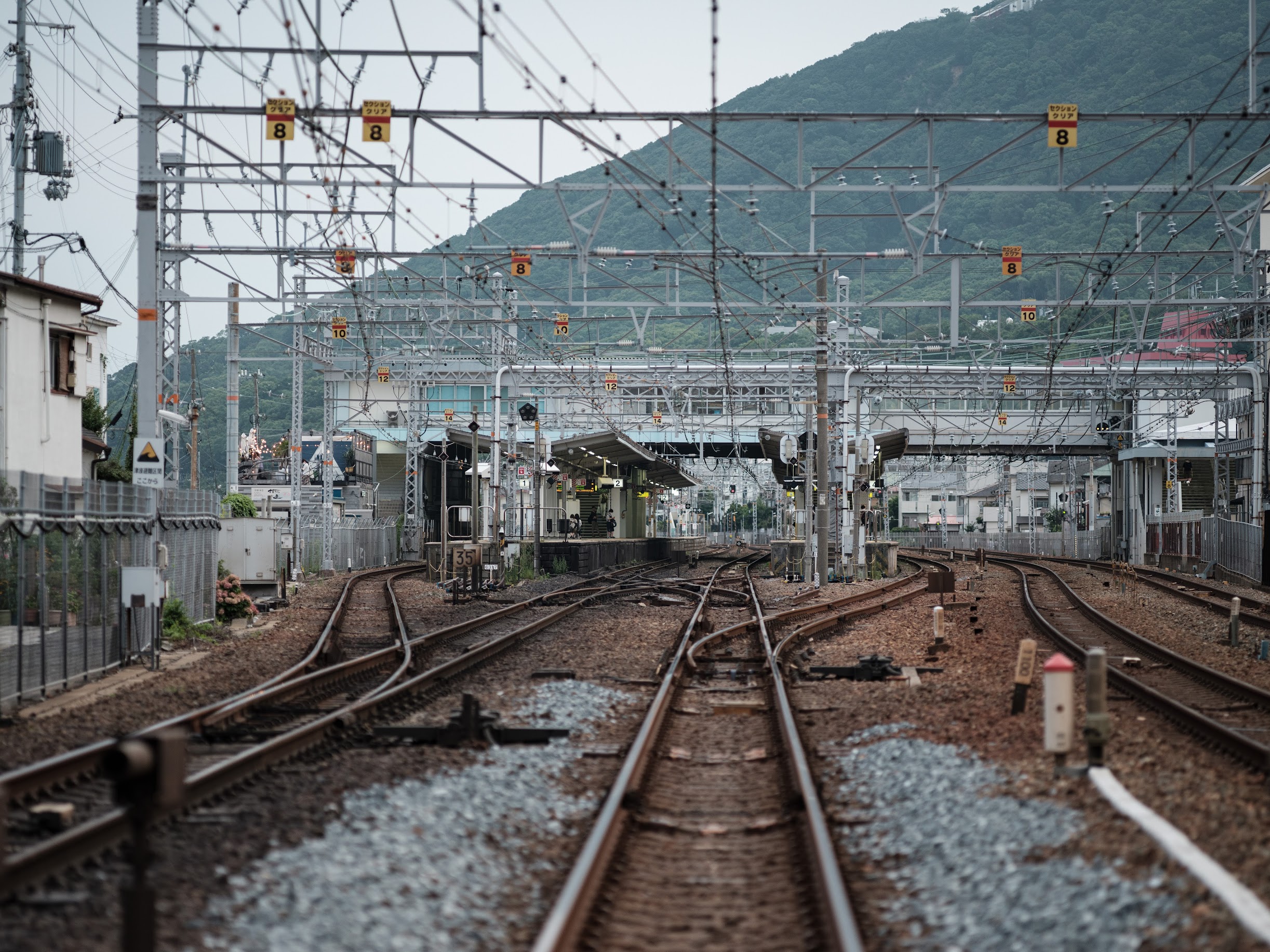 MAMIYA SEKOR A 150mmF2.8N試写 - shigiphoto days