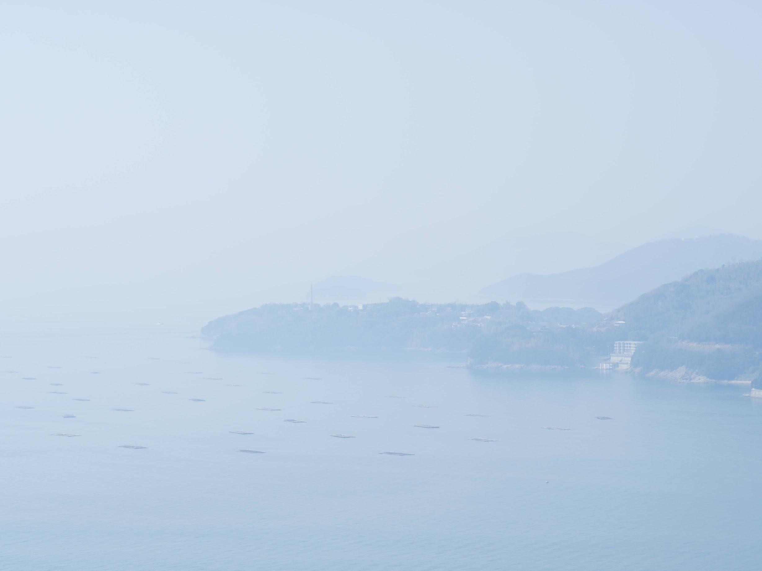 作例あり＞MAMIYA M645 + MAMIYA-SEKOR C 試写済 Mamiya M645買ってみ