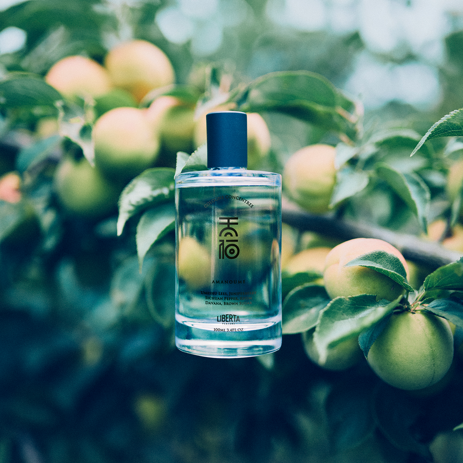 マツリマツ コロンコンサントレ 100ml – Liberta Perfume（リベルタ