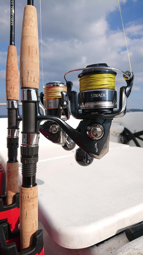 インプレ】20ストラディックSWの6000XGを選んだ理由 : ルアー