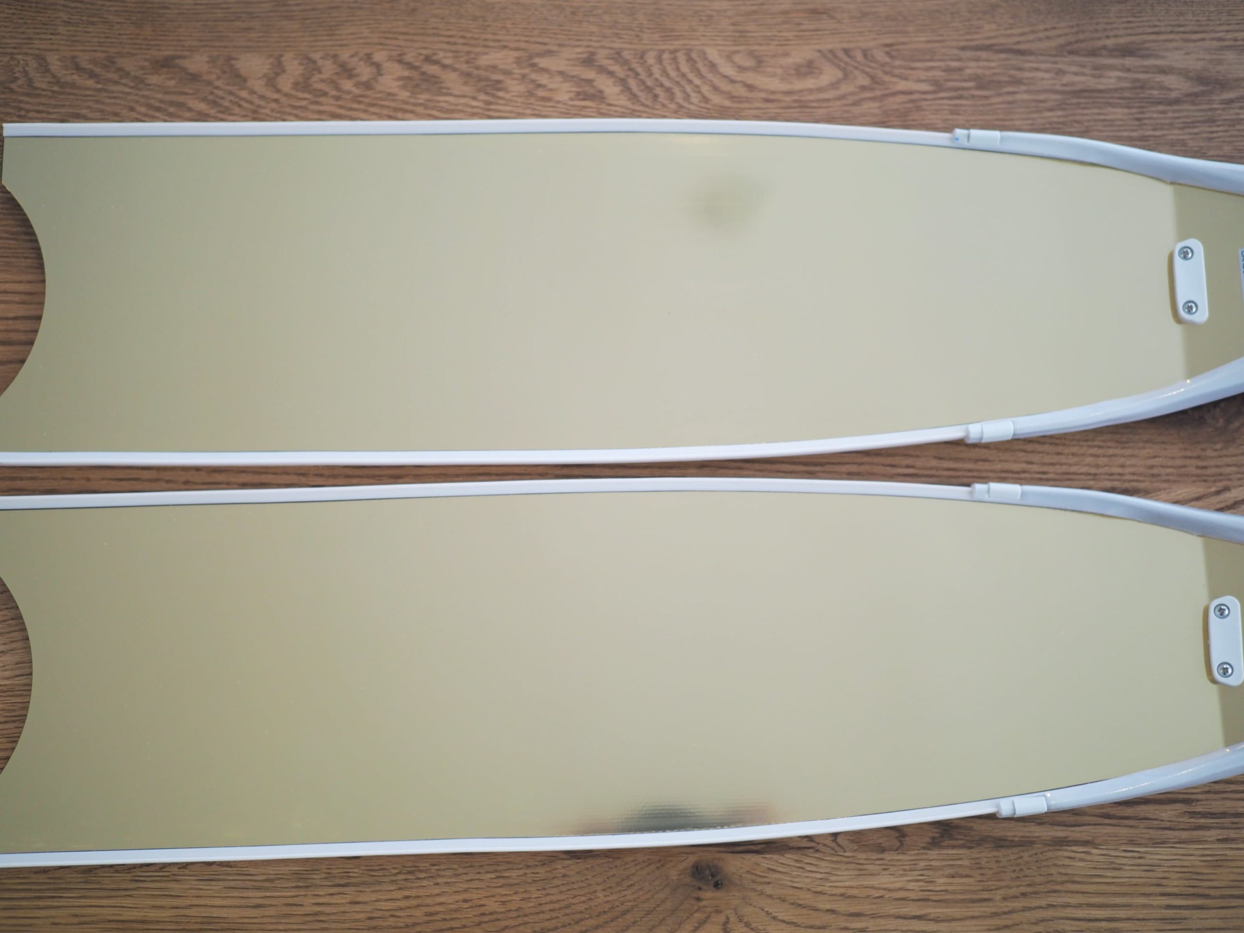 LeaderFins（リーダーフィンズ） LIMITED EDITION 2020 GOLD MIRROR BI