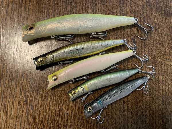 見つけたら即買いのシーバスルアー29選！入手困難な最強ルアーはこれだ