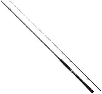 310wkYVHqgL._AC_UF350,