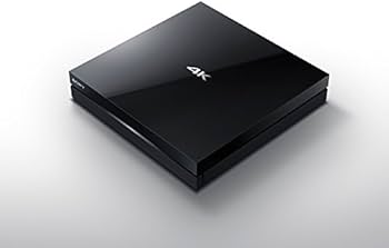 312-XJYGEqL._AC_UF350,