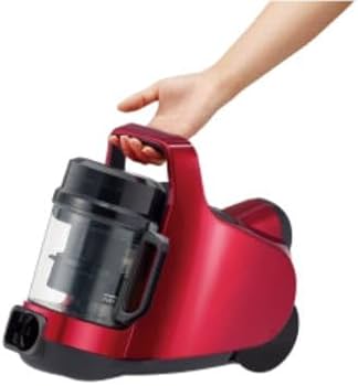 31P1j0-8BTL._AC_UF350,