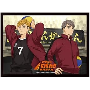 Amazon.co.jp: カードサプライ・アクセサリ - コレクションカード