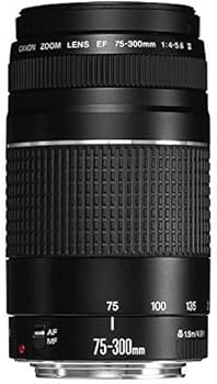Amazon.co.jp: キャノンEF 75-300mm f/4-5.6 III 望遠ズームレンズ