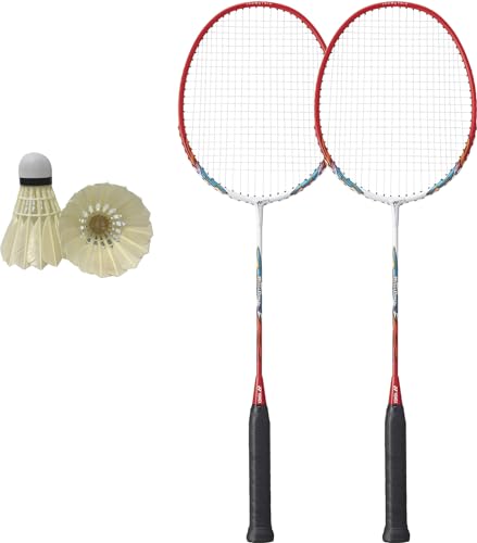 バドミントンラケット ケース 2本」の人気商品一覧 | 安い商品を通販