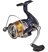 Amazon | ダイワ(Daiwa) 磯竿 スピニング 大島 1.5号-52SMT 釣り竿