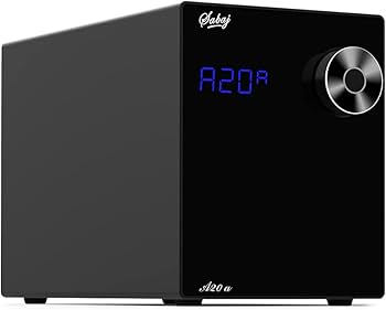 Amazon.co.jp: Sabaj A20a アンプ パワーアンプ HI-FI クラスD