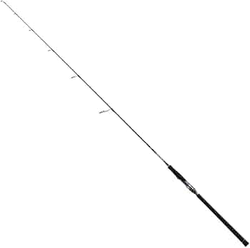 Amazon | ダイワ(DAIWA) ソルティガ R J60S-2 HI | ダイワ(DAIWA
