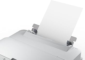Amazon.co.jp: EPSON A3ビジネスインクジェットプリンター PX-S5040