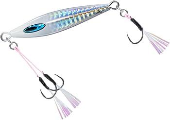 Amazon.co.jp: ダイワ(DAIWA) ソルティガ FKジグTG SLJ 60g PHシルバー