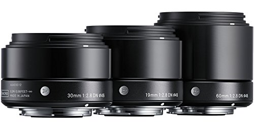 Amazon.com : Sigma 60mm F2.8 EX DN Art (Black) for Micro 4/3