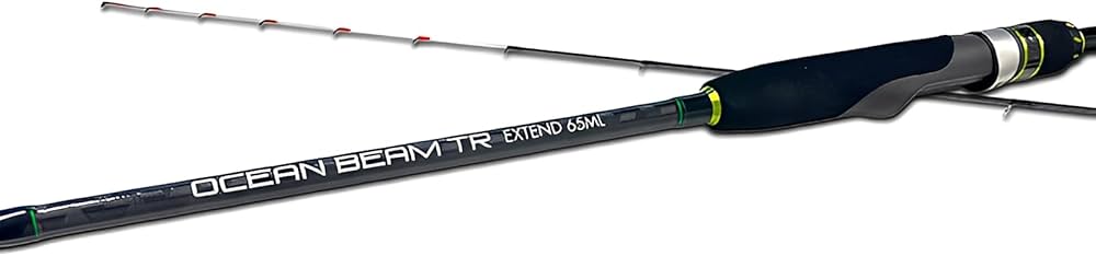 Amazon.co.jp: クレイジーオーシャン エギングロッド オーシャンビーム