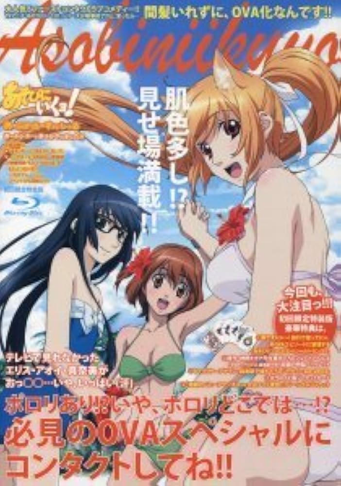 Amazon.co.jp: あそびにいくヨ！ おーぶいえーであそびきにました