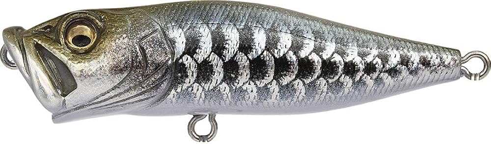 Amazon.co.jp: メガバス バスルアー POP-X （ポップX） DRAGON FISH S