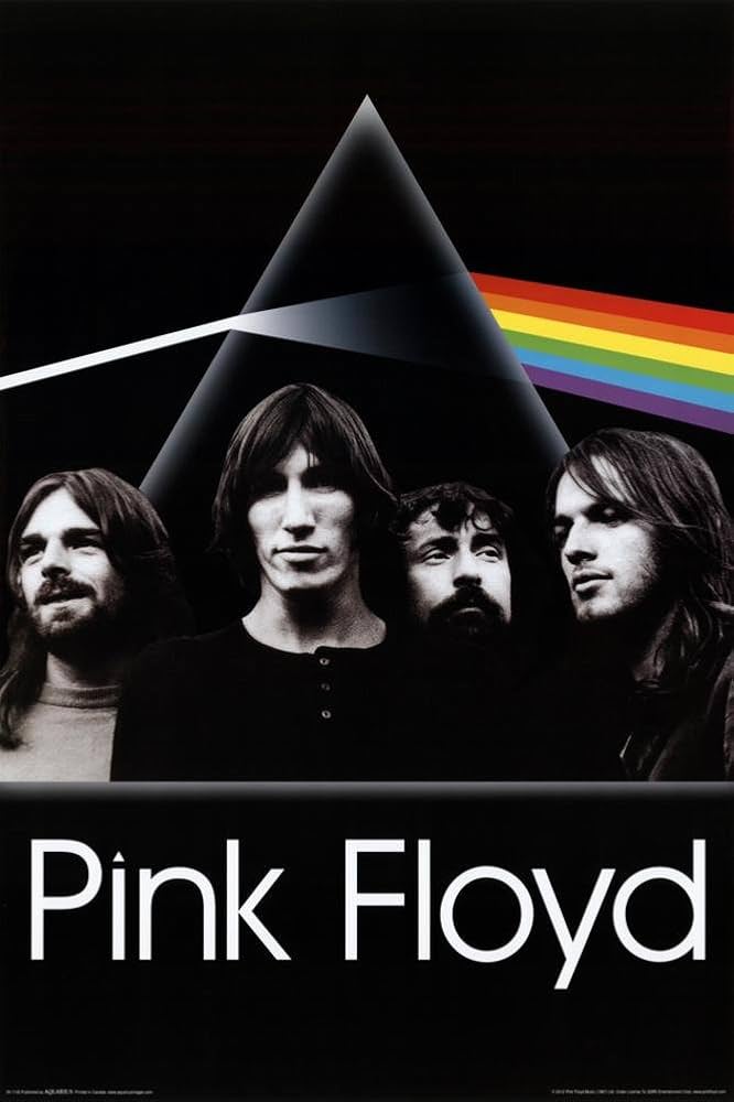 Amazon.com: Poster Pink Floyd - Dark Side of the Moon Group 24 x