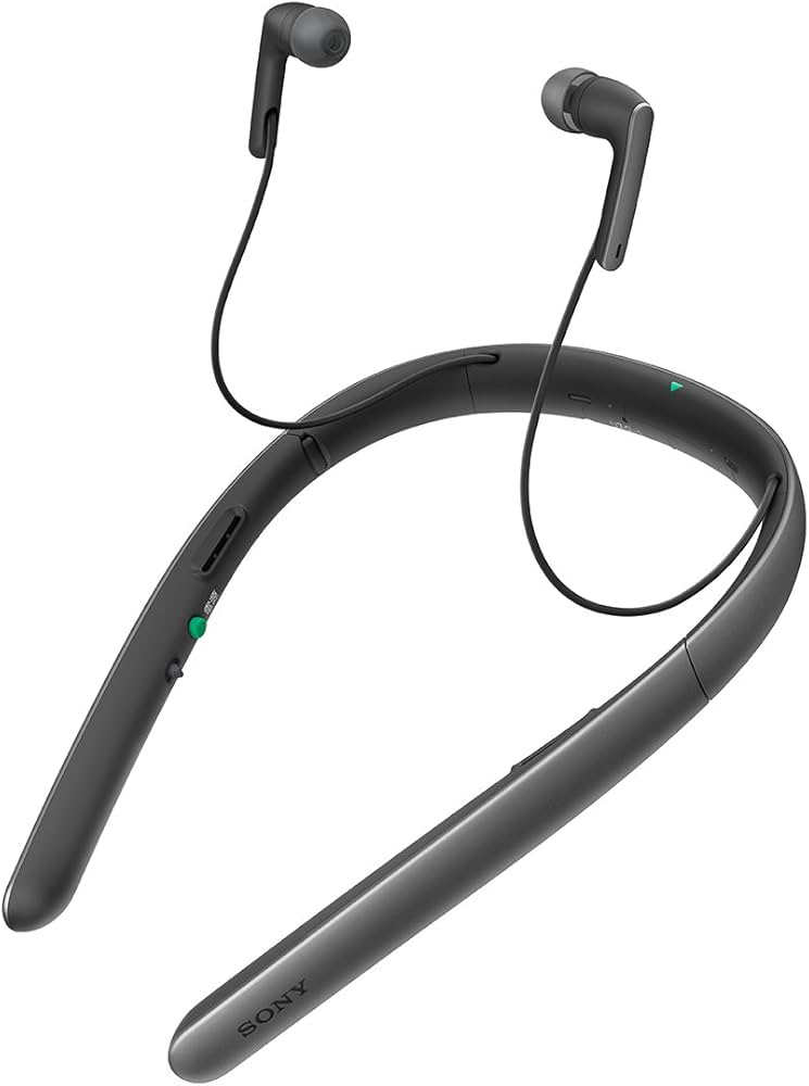 Amazon.co.jp: ソニー 首かけ集音器/テレビ用スピーカー SMR-10 : 最大