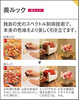Amazon.co.jp: パナソニック(Panasonic) LED ペンダント 半埋込吊下型