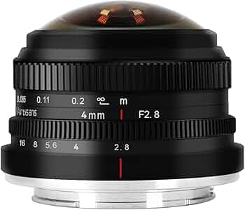 5132GZ69cFL._AC_UF350,