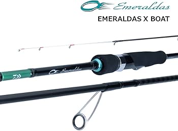 Amazon | ダイワ EMERALDAS X BOAT 65LS-S | ダイワ(DAIWA) | エギング