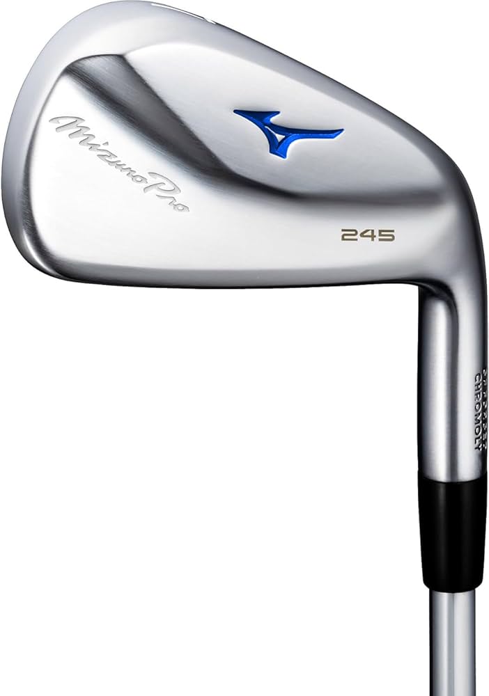 Amazon.co.jp: ミズノ（MIZUNO） Mizuno Pro 245 アイアン スチール