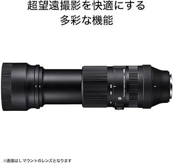 Amazon.co.jp: シグマ(Sigma) レンズ 100-400mm F5-6.3 DG DN Sony