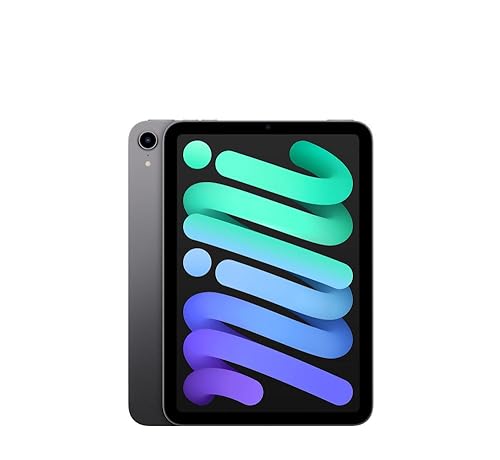 Amazon.com: Apple iPad mini 6-256GB - WiFi - Space Gray (Renewed
