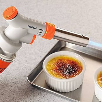 51R+NqbuBbL._AC_UF350,