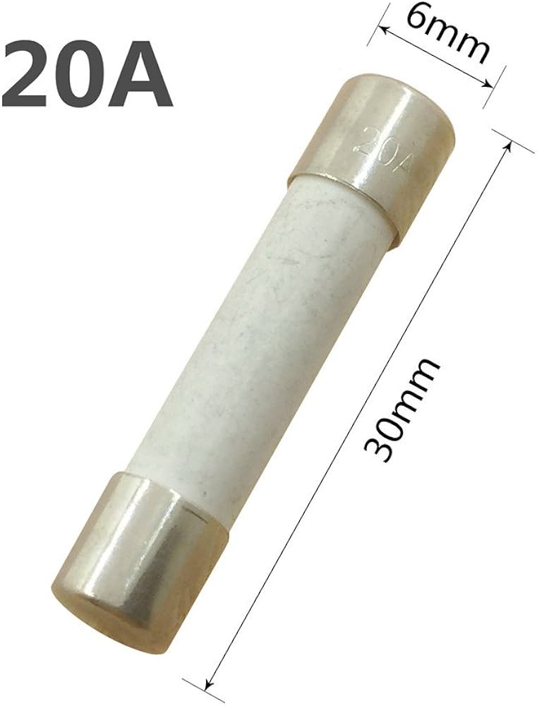 YOLISTIC (Pack of 10) 20 Amp Slow-Blow Time Delay Fuse Ceramic