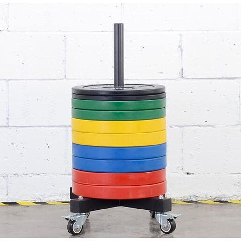 Amazon.co.jp: 22LBS / 33LBS / 44LBS / 55ポンドの重量プレート、2