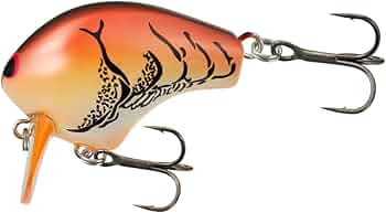 51nkbzhBHeL._AC_UF350,