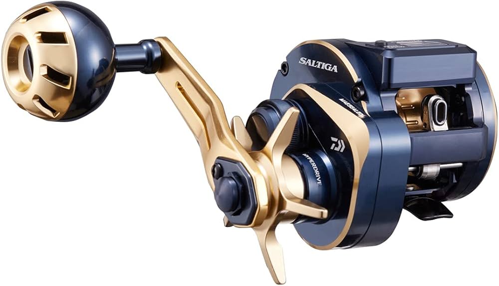 Amazon | ダイワ(DAIWA) 21 ソルティガIC 100 | ダイワ(DAIWA