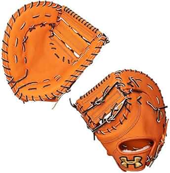 51sWZWVPSSL._AC_UF350,