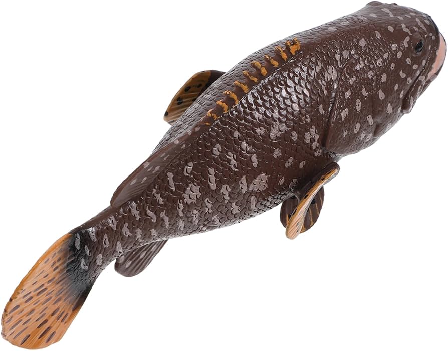 Amazon.co.jp: ハタ 模型 ハタ フィギュア 模型 動物 置物 リアル 魚