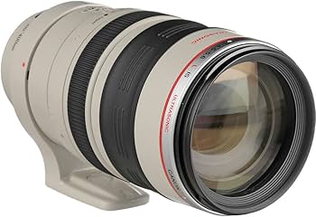 Amazon.com : Canon EF 100-400mm f/4.5-5.6L is USM Telephoto Zoom