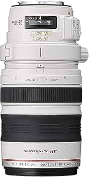 619cA+KgAfL._AC_UF350,