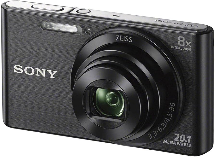Amazon.com : Sony Cyber-Shot DSC-W830 (20.5 MP,8 x Optical Zoom